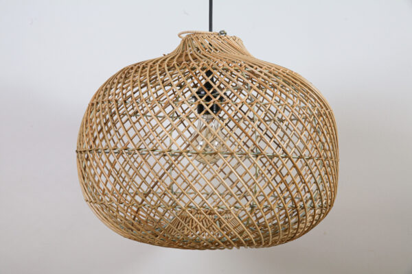 HL Snake rotan (appel) 40x30